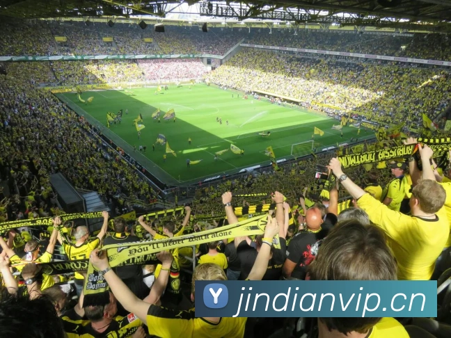 开云在线登录入口官网平台生态图