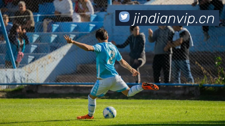 开云在线登录入口官网APP 封面图